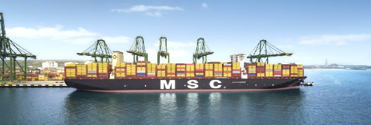MSC 1